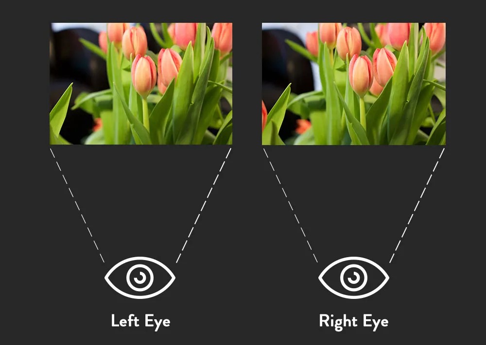Photo showing what the left and the right eye sees