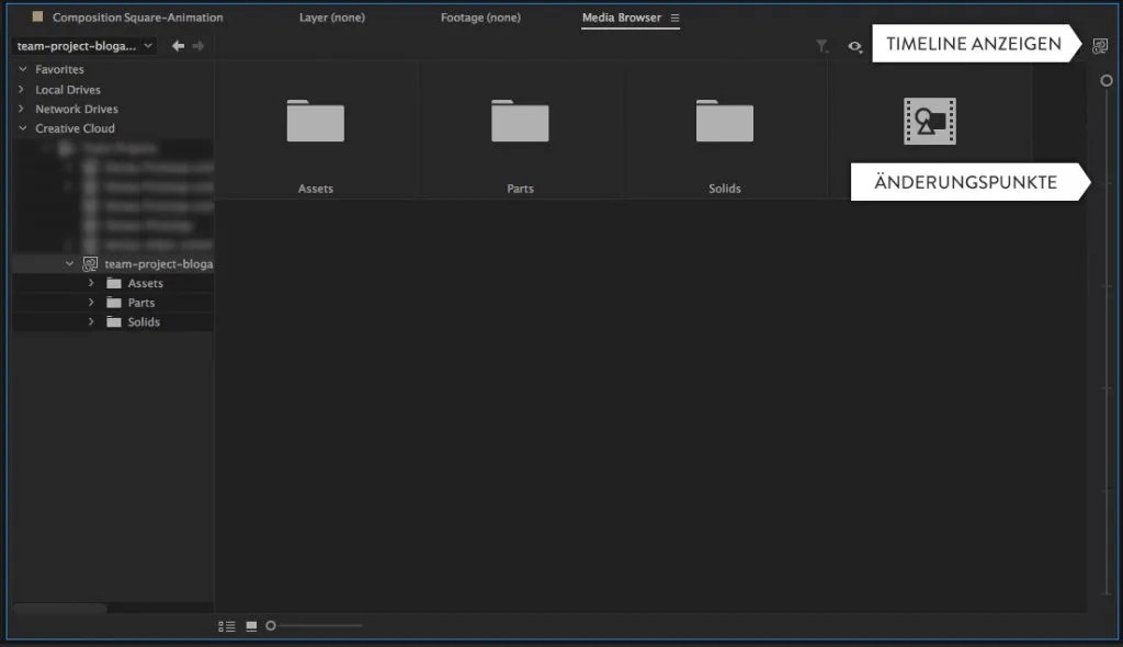 Version Control im Team Project