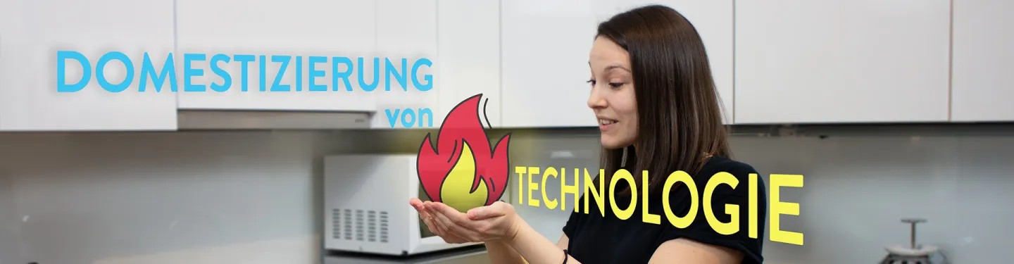Domestizierung von Technologie