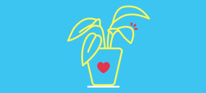 Plants Feelings Interaction Design